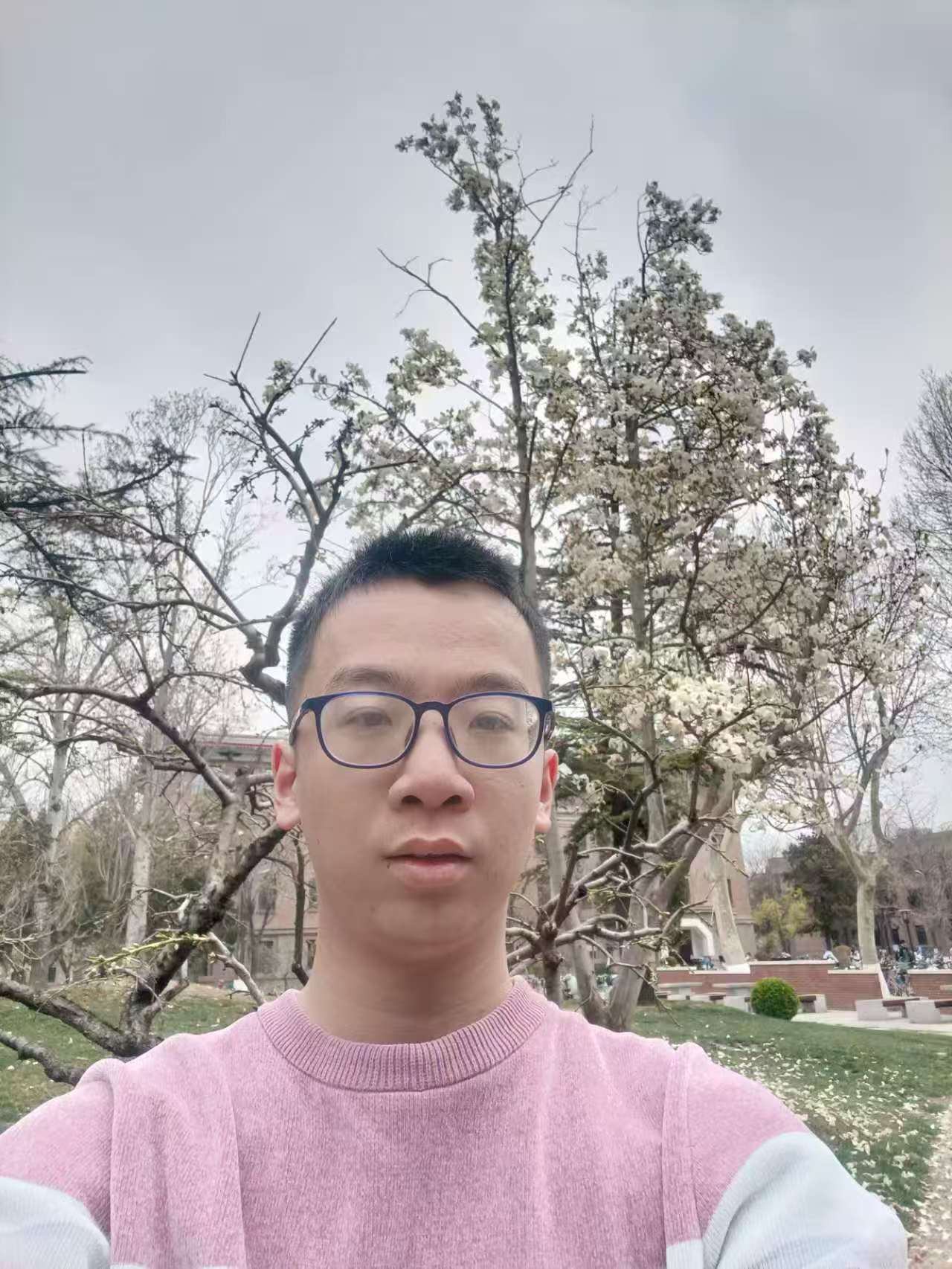 Baozhen Luo